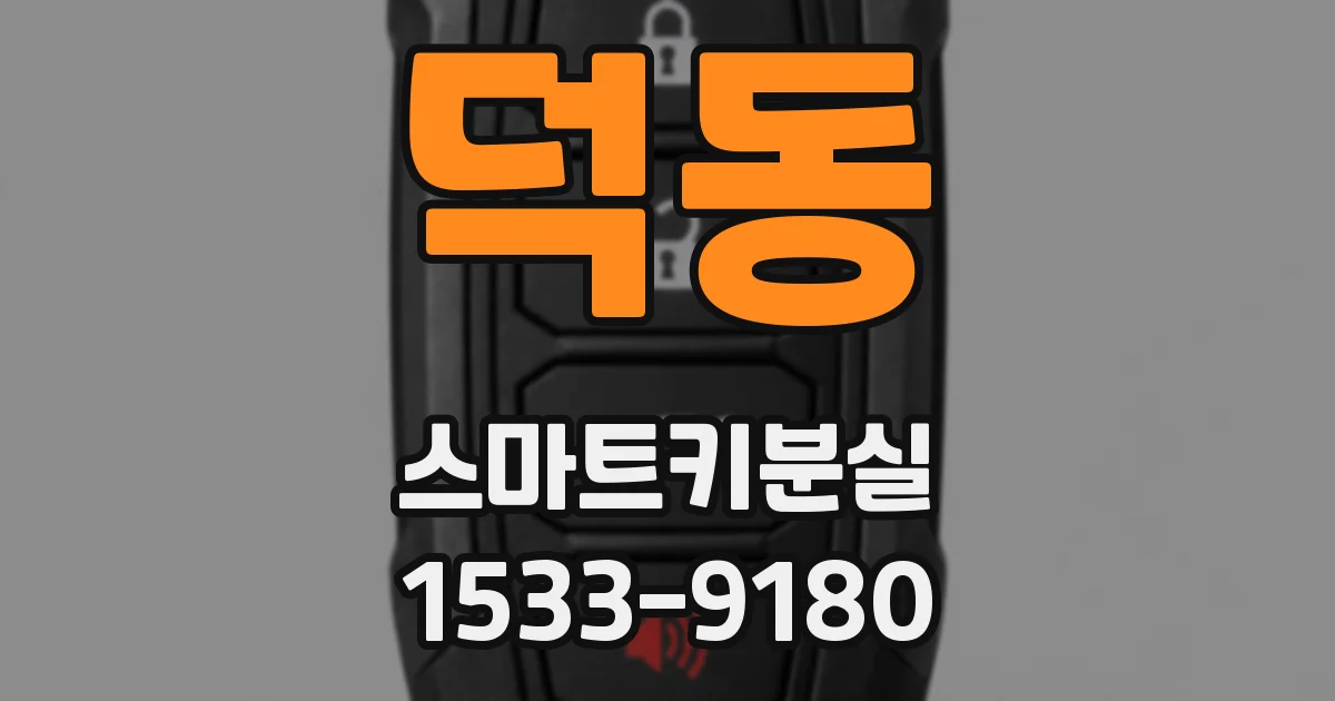 덕동 스마트키분실