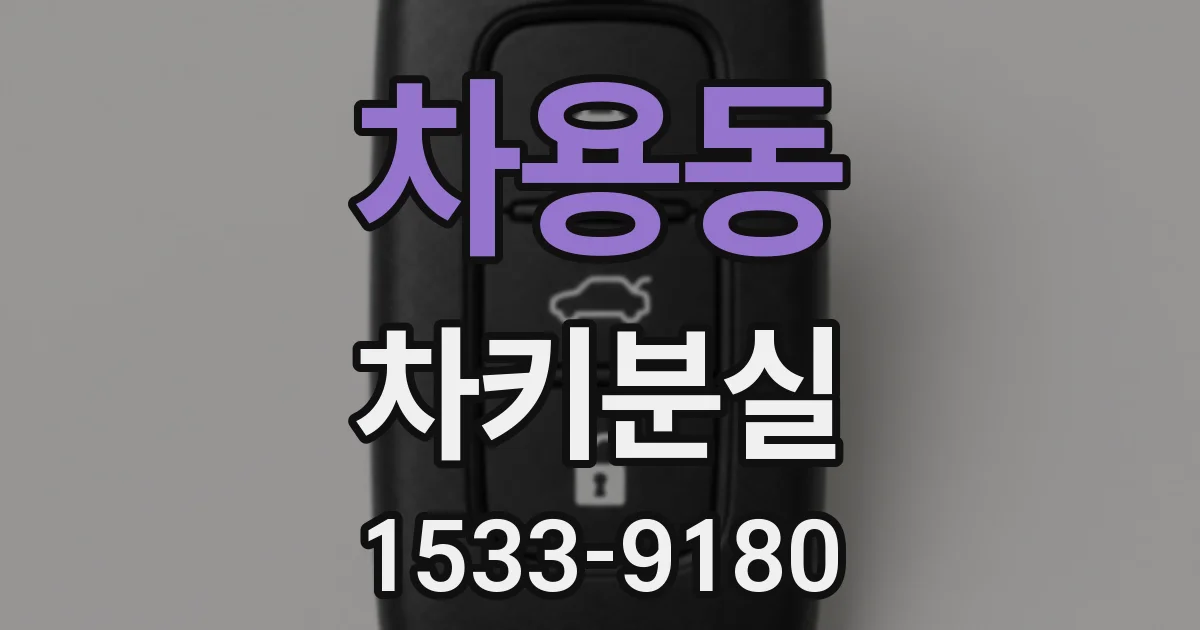 차용동 차키분실