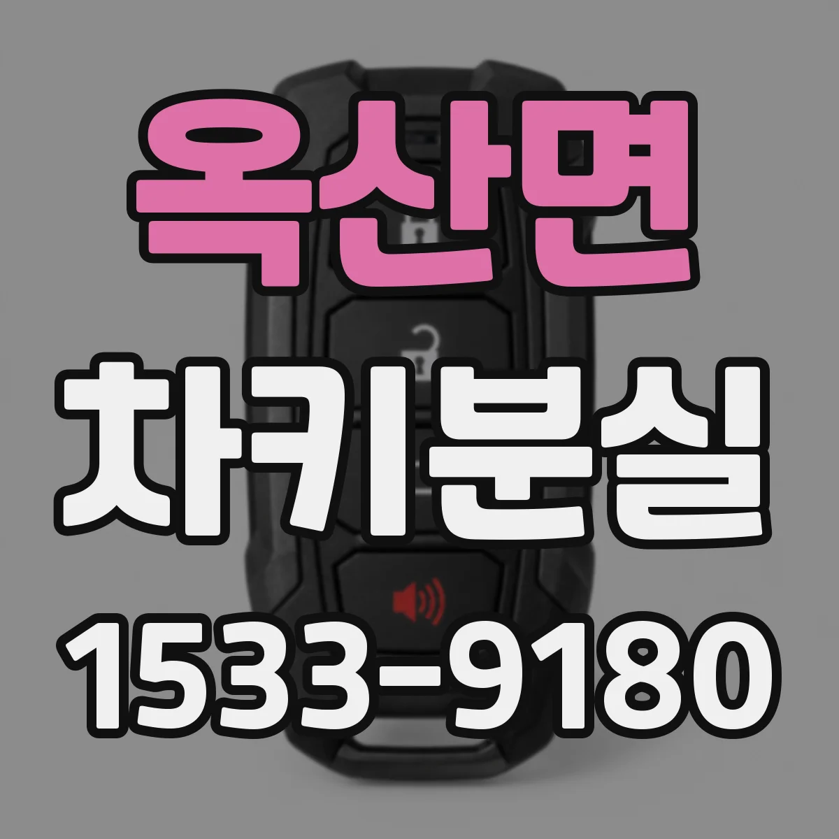 옥산면 차키분실