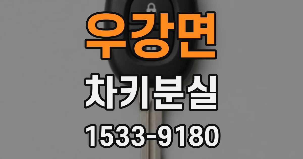 우강면 차키분실