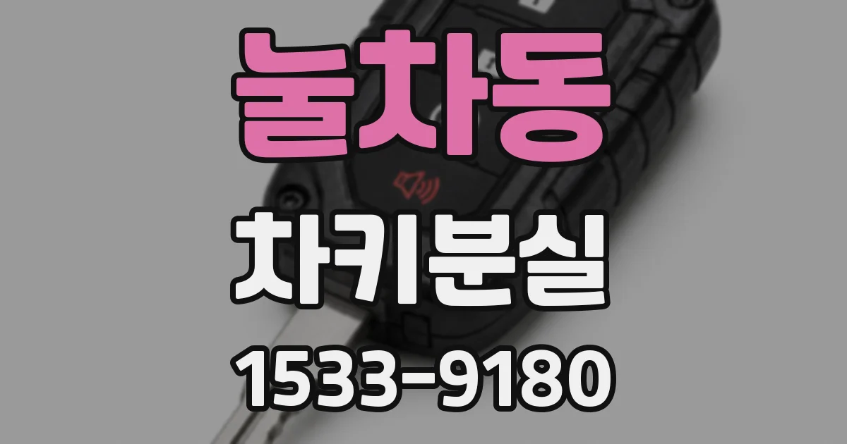 눌차동 차키분실