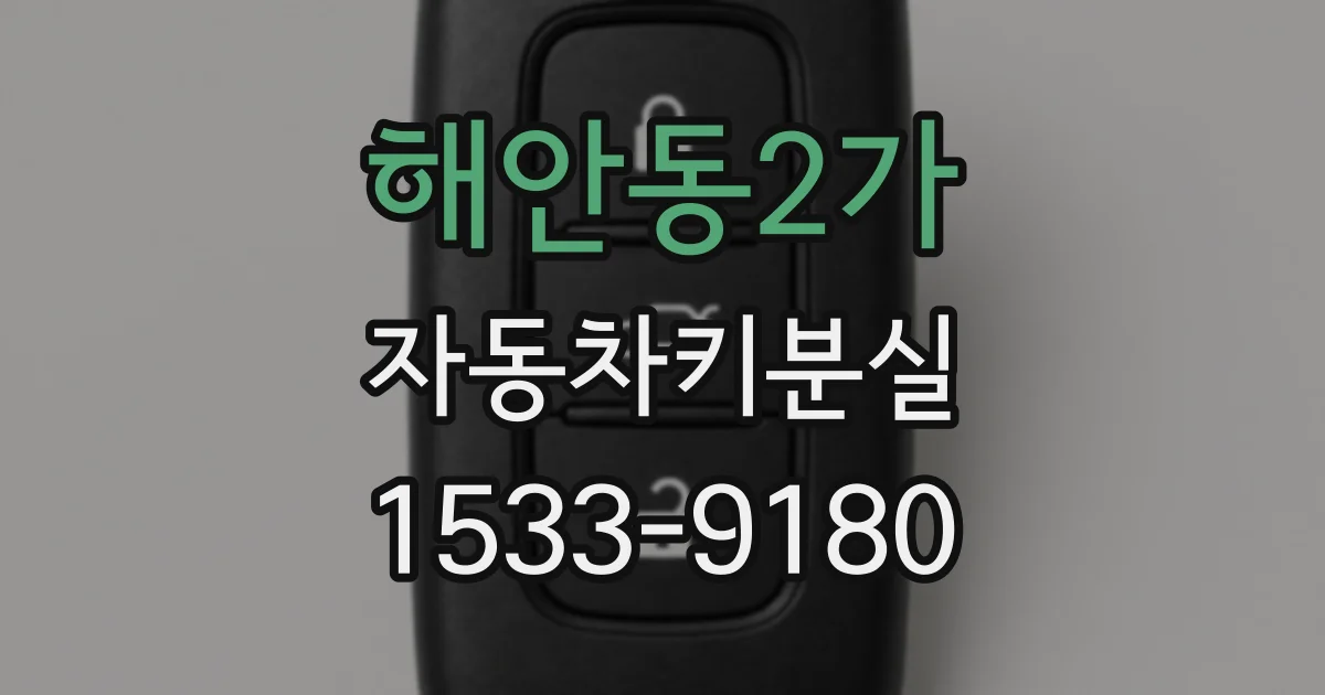 해안동2가 자동차키분실