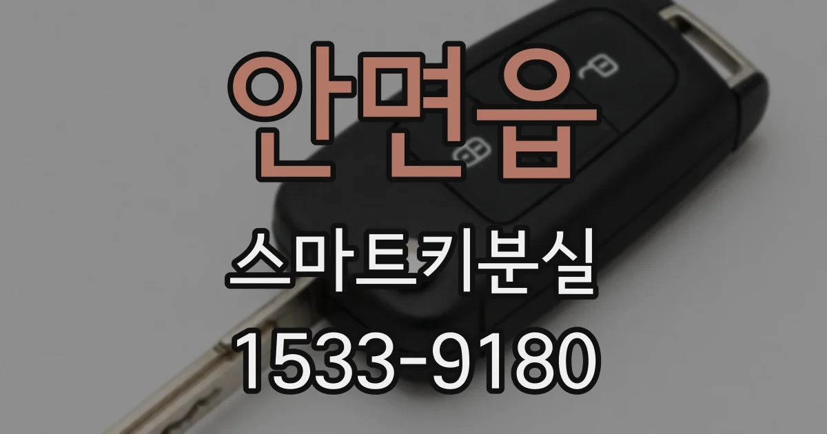 안면읍 스마트키분실
