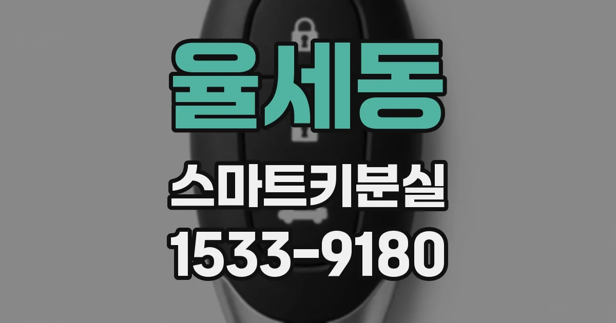 율세동 스마트키분실