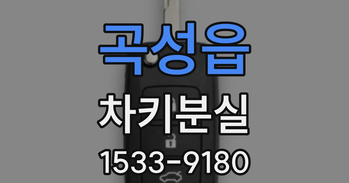 곡성읍 차키분실