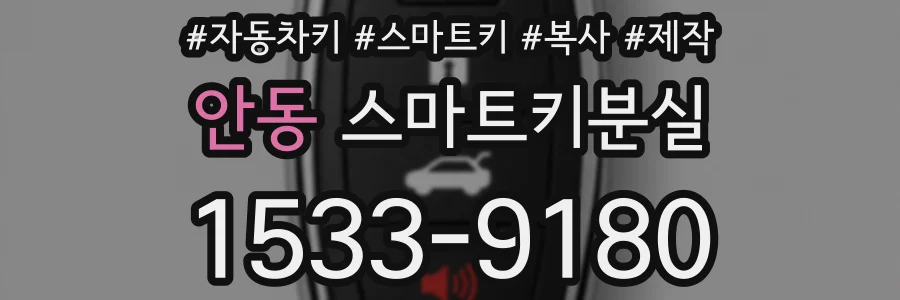 안동 스마트키분실