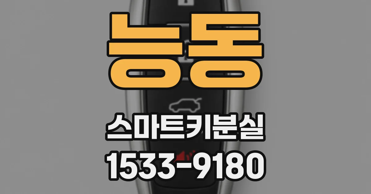 능동 스마트키분실
