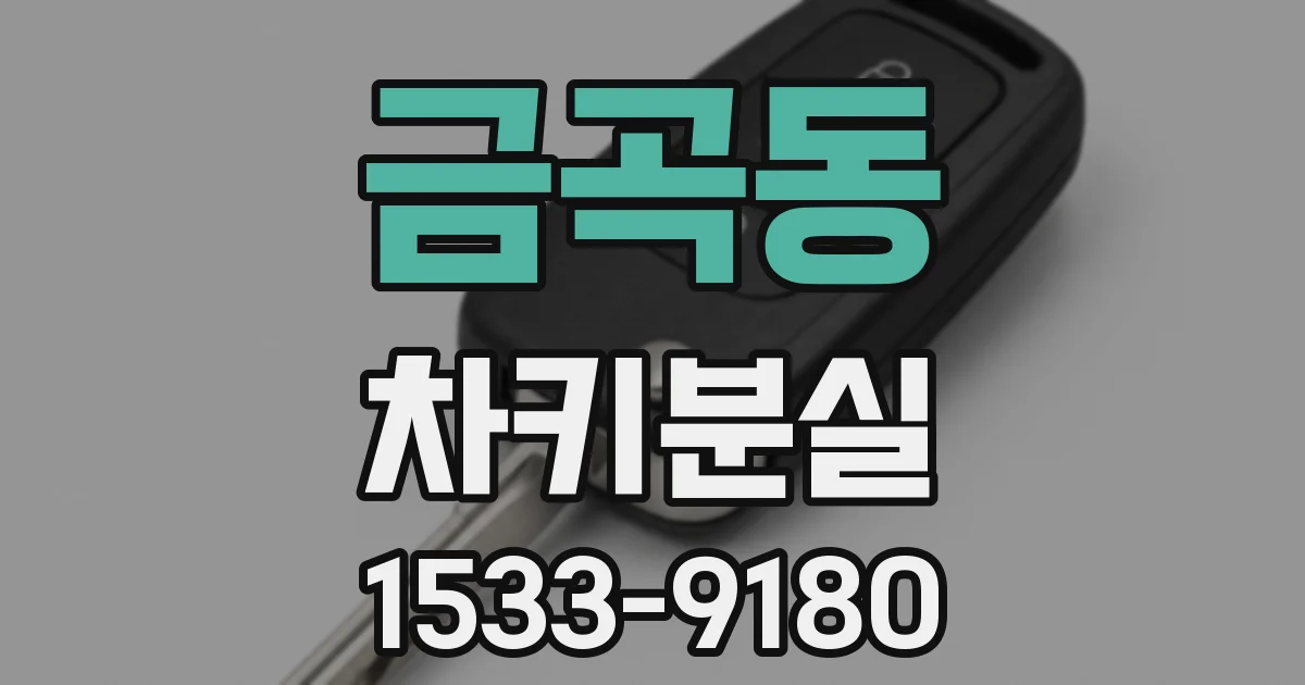 금곡동 차키분실