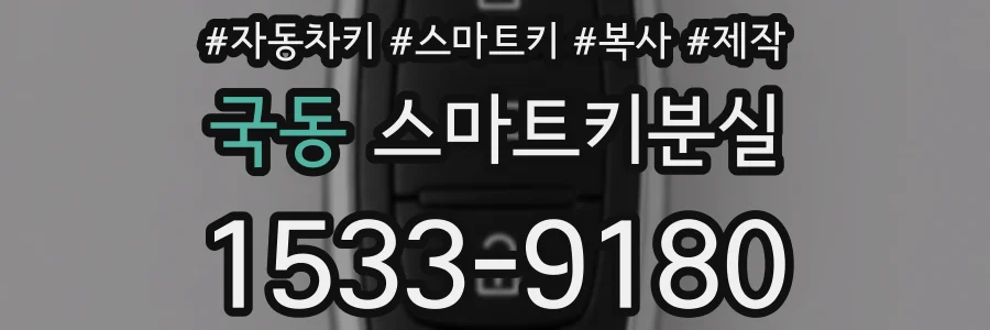 국동 스마트키분실