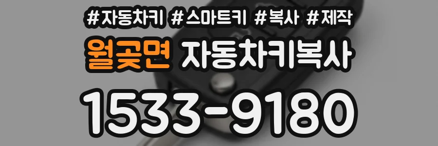 월곶면 자동차키복사