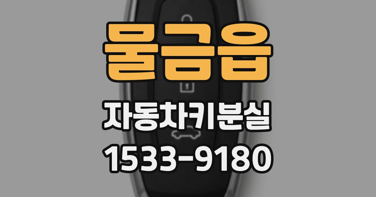 물금읍 자동차키분실