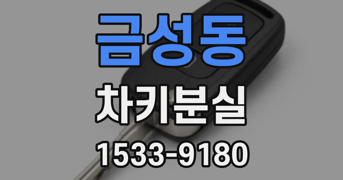금성동 차키분실