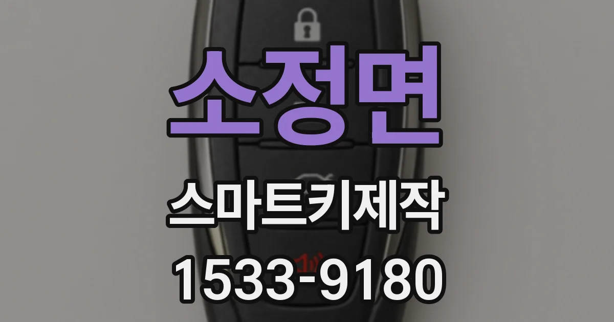 소정면 스마트키제작