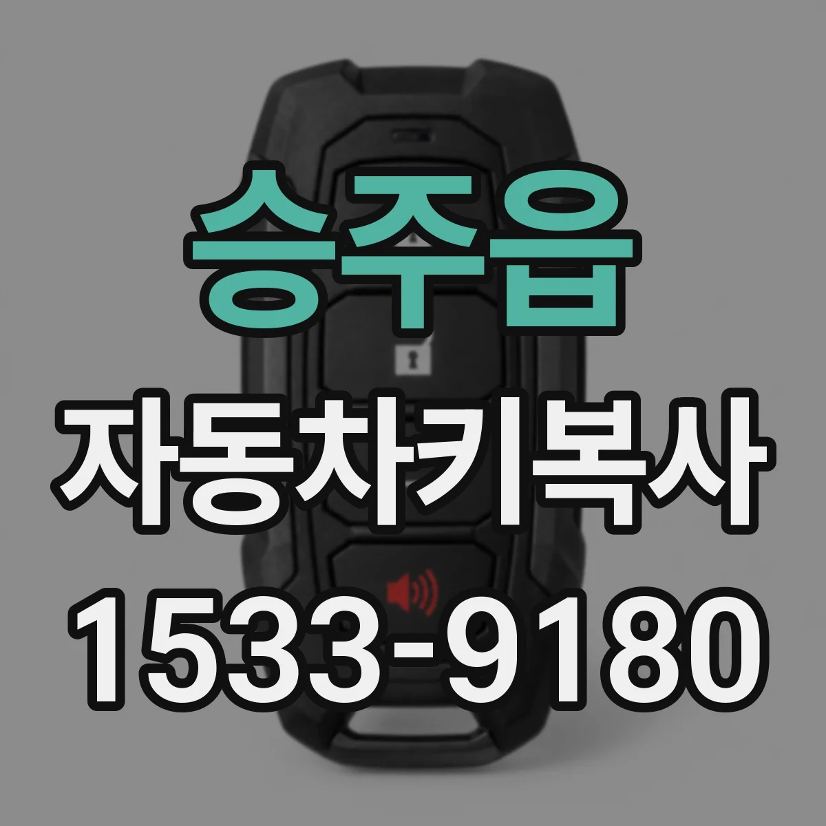 승주읍 자동차키복사