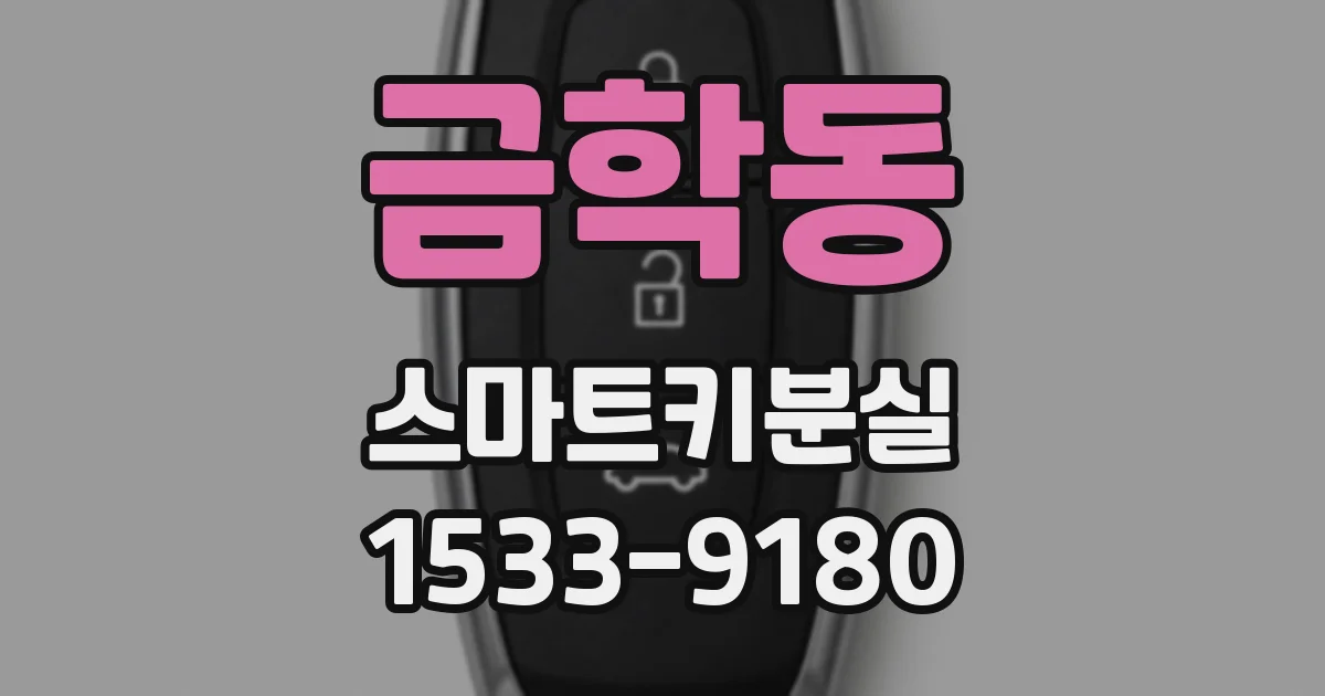 금학동 스마트키분실