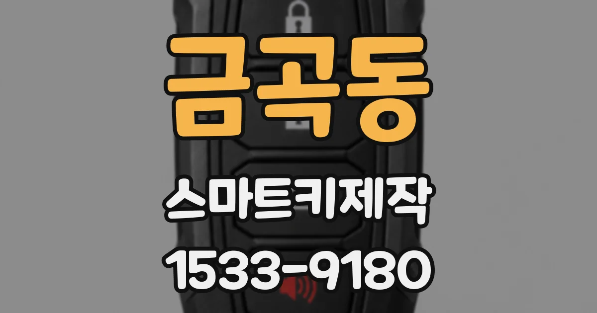 금곡동 스마트키제작