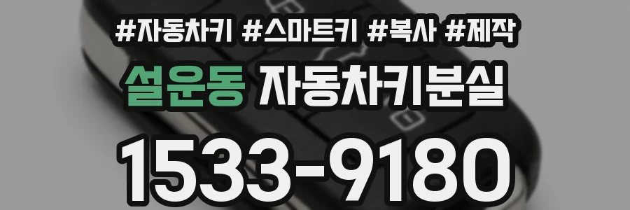 설운동 자동차키분실