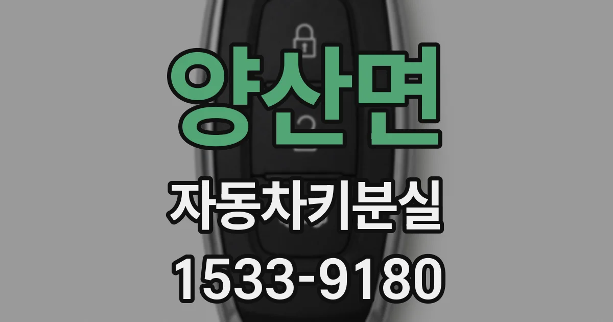양산면 자동차키분실
