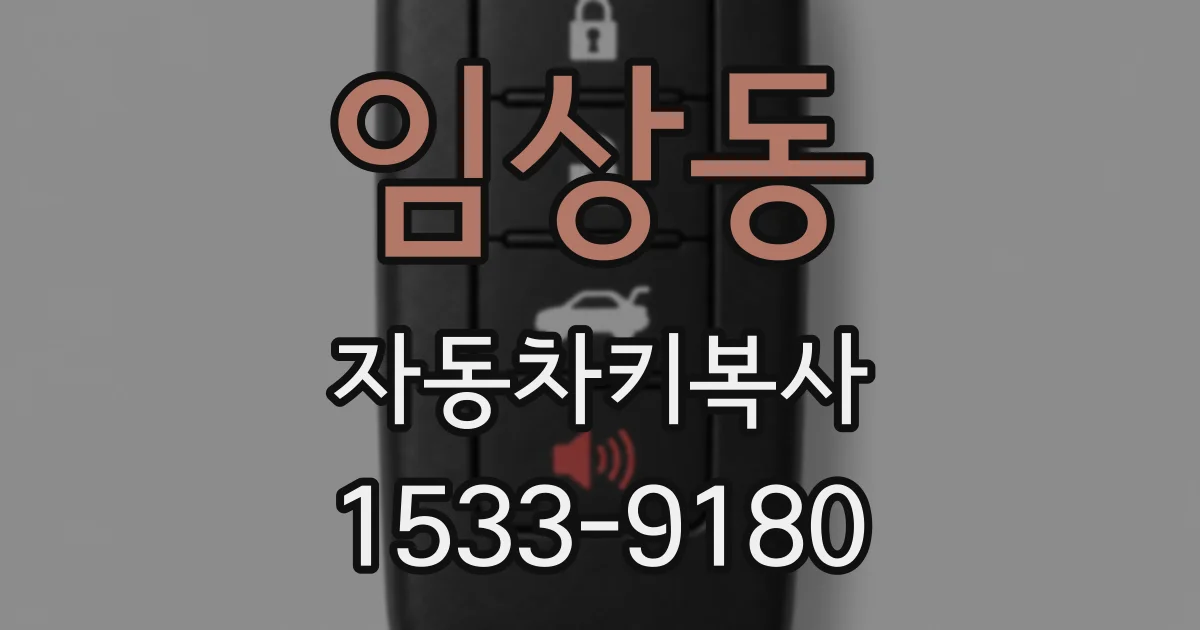 임상동 자동차키복사