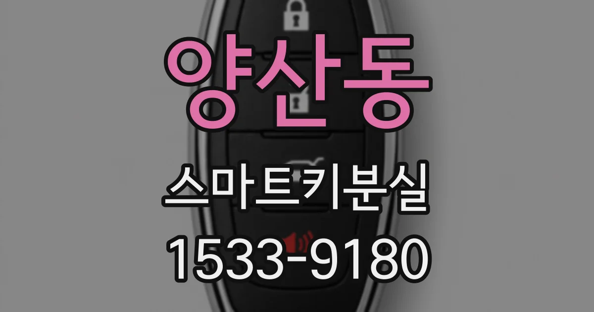 양산동 스마트키분실