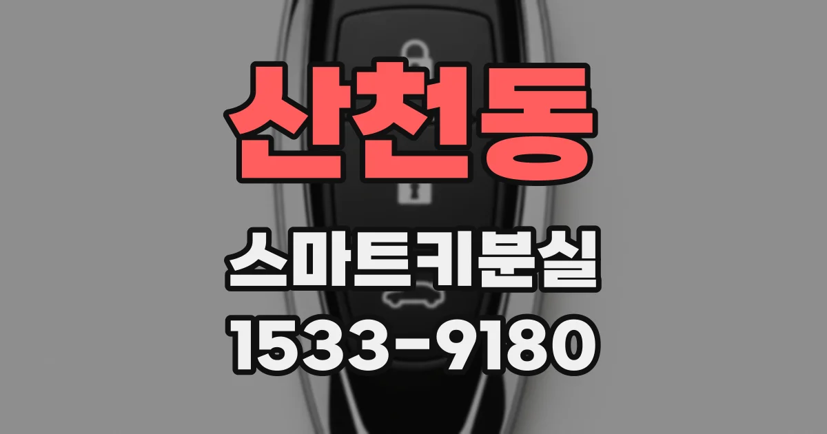산천동 스마트키분실