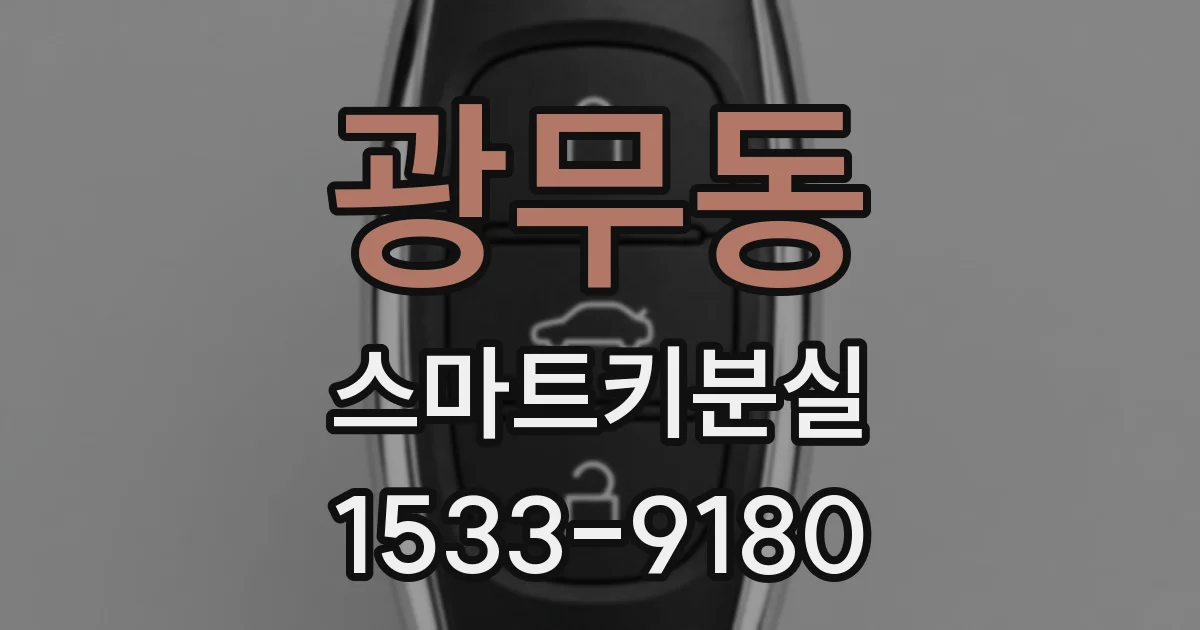 광무동 스마트키분실