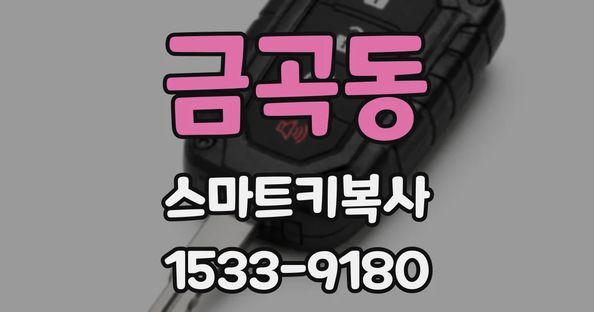 금곡동 스마트키복사