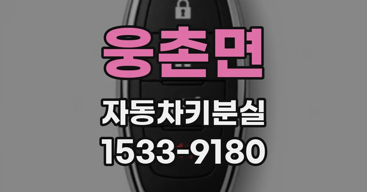 웅촌면 자동차키분실