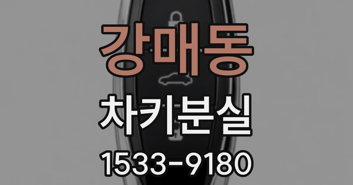 강매동 차키분실