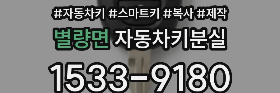 별량면 자동차키분실