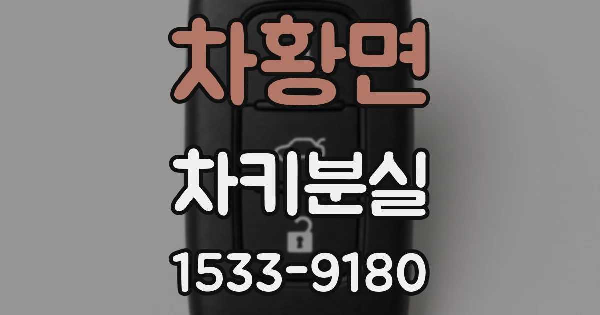차황면 차키분실