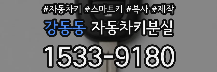 강동동 자동차키분실