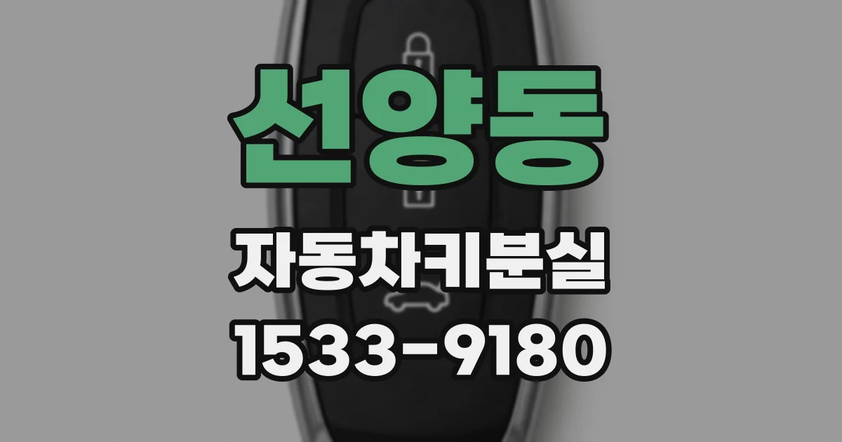 선양동 자동차키분실