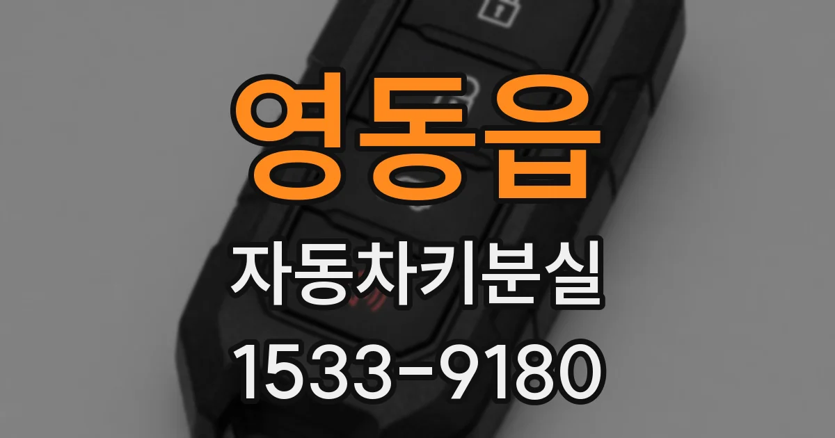 영동읍 자동차키분실