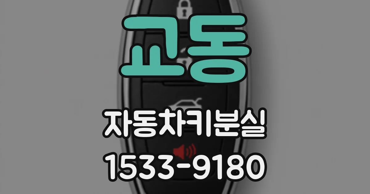 교동 자동차키분실