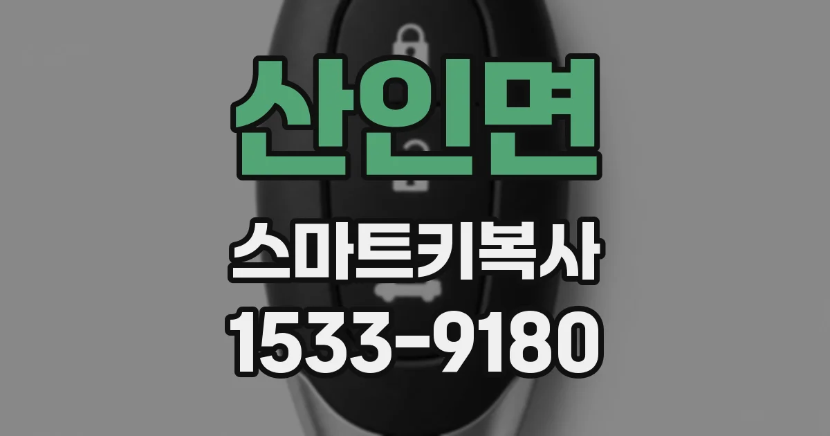 산인면 스마트키복사