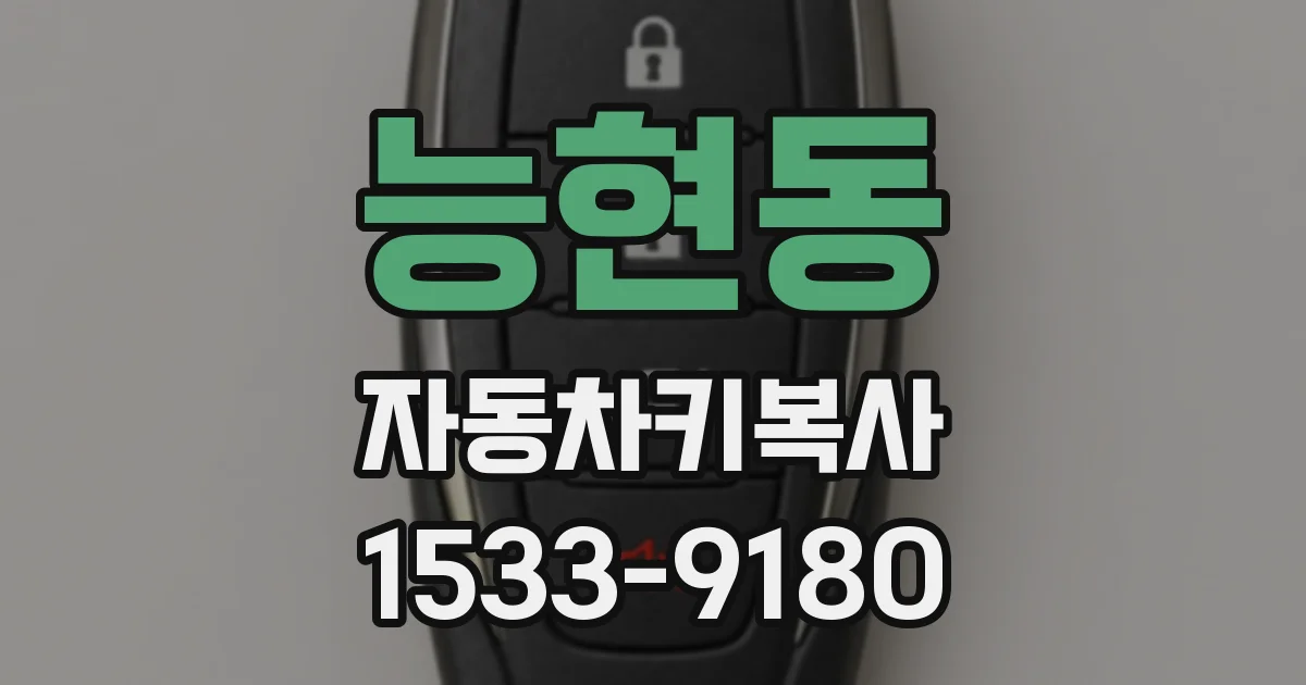 능현동 자동차키복사