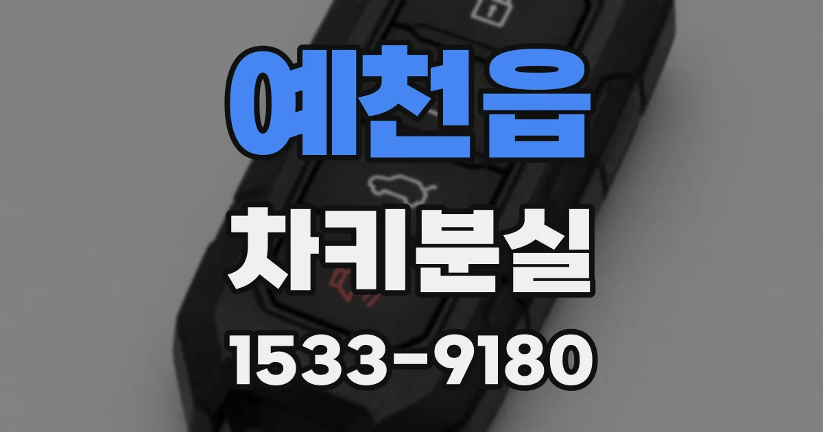 예천읍 차키분실