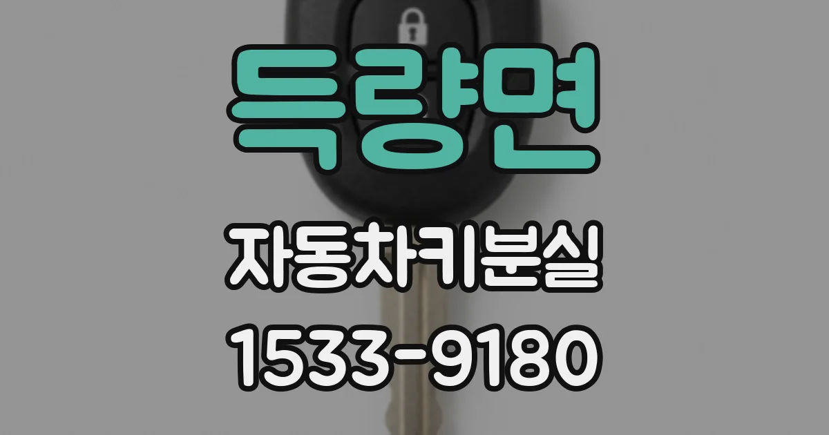 득량면 자동차키분실