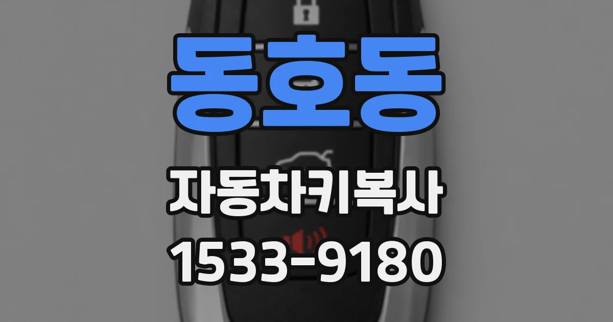 동호동 자동차키복사