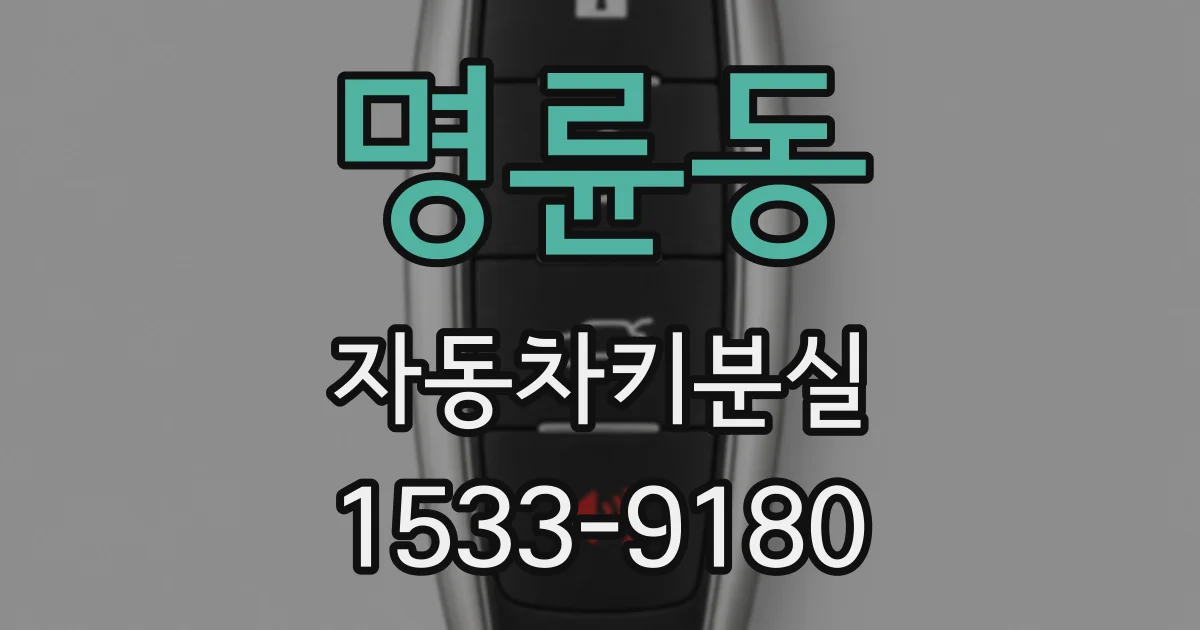 명륜동 자동차키분실