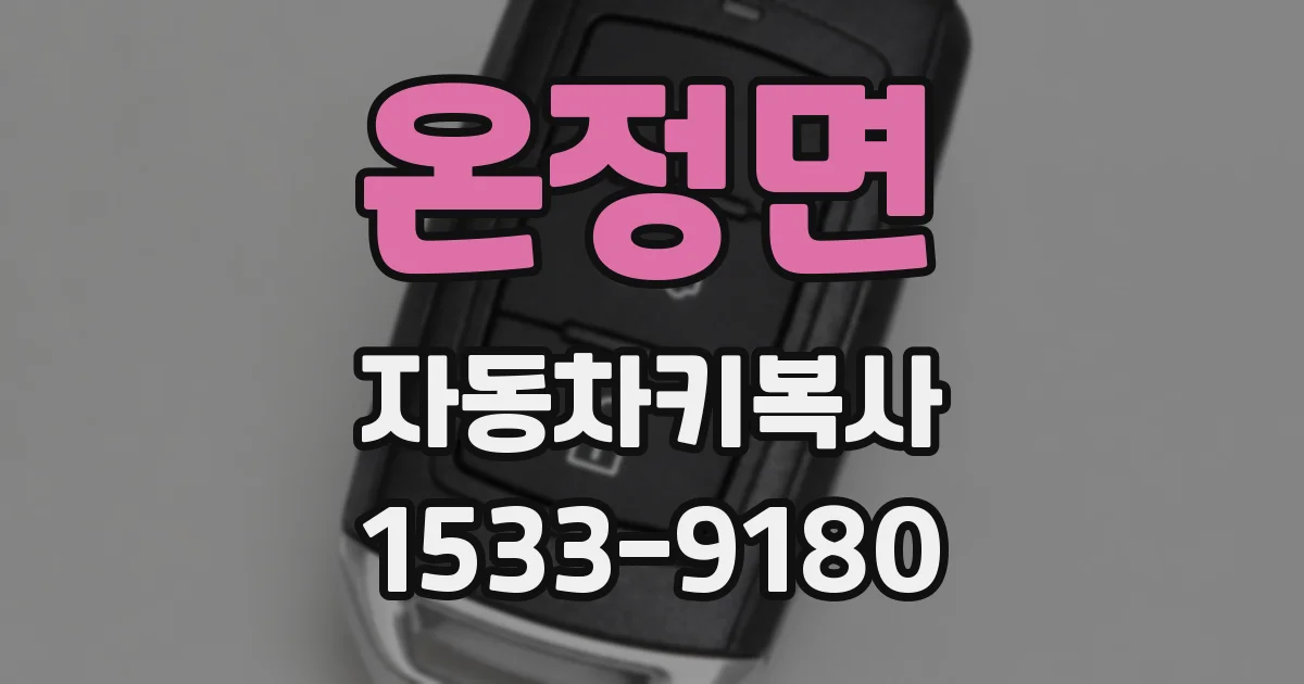 온정면 자동차키복사