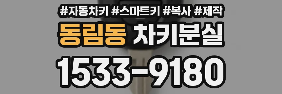 동림동 차키분실