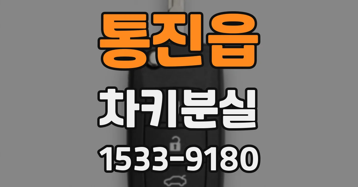 통진읍 차키분실