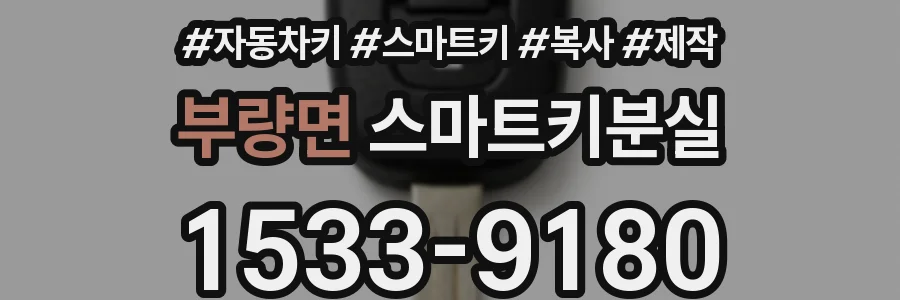 부량면 스마트키분실