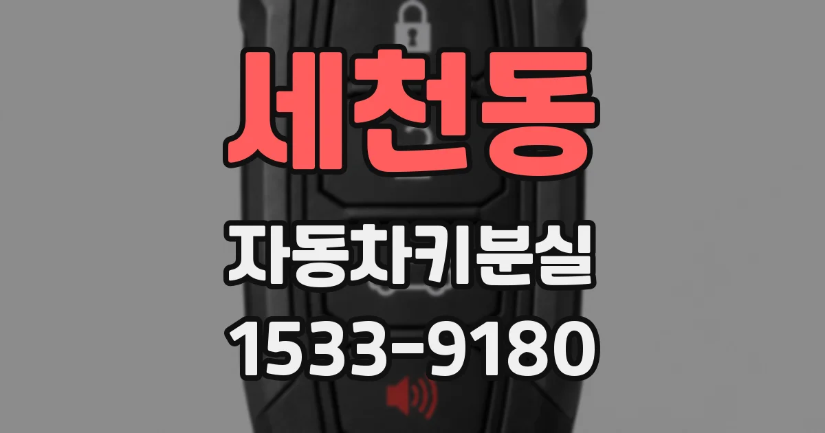 세천동 자동차키분실