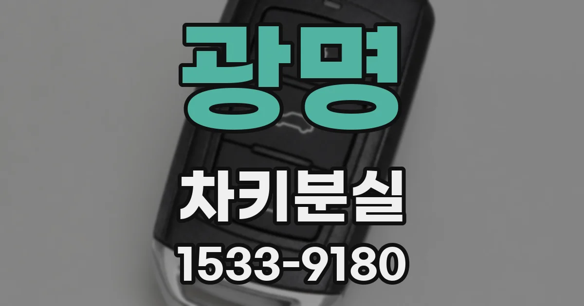 광명 차키분실