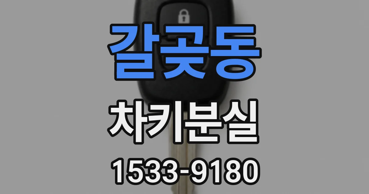 갈곶동 차키분실