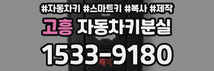 고흥 자동차키분실