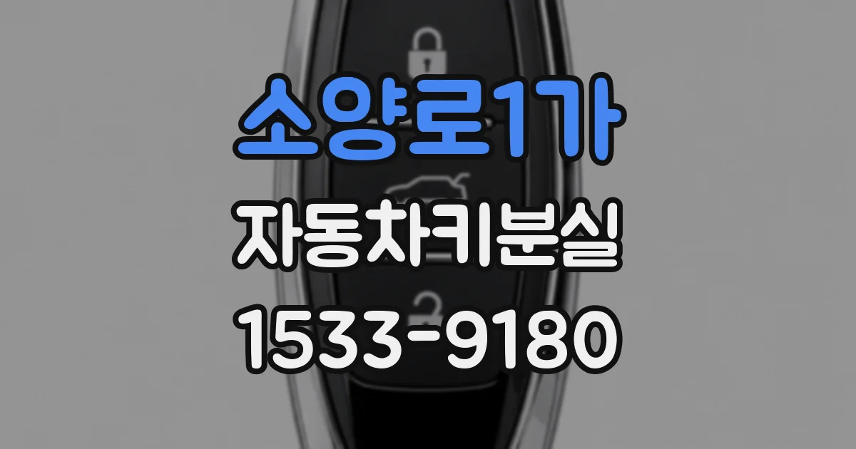소양로1가 자동차키분실